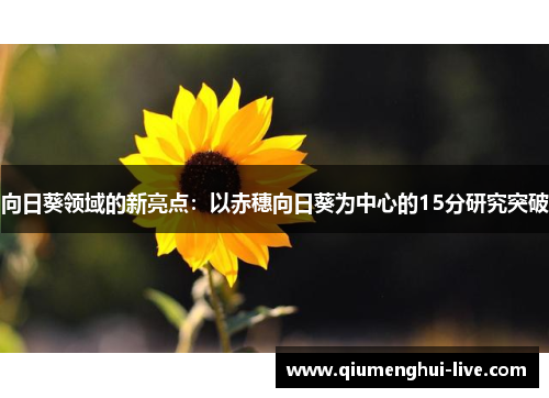 向日葵领域的新亮点：以赤穗向日葵为中心的15分研究突破